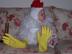 Chicken2_72x54_c