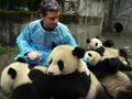 Playing with Pandas