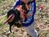 Jan232008-013_72x54_c