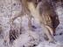 Image009_72x54_c