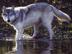 Image007_72x54_c