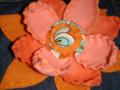 Dsc01594_120x90_c