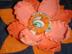 Dsc01594_72x54_c