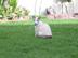 Turbow-060_72x54_c